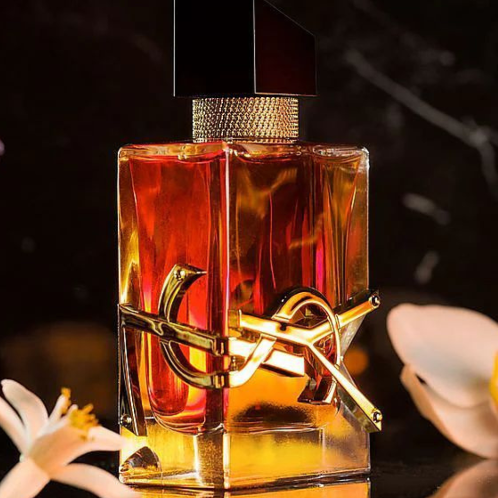 Le parfum Yves Saint Laurent Libre Intense